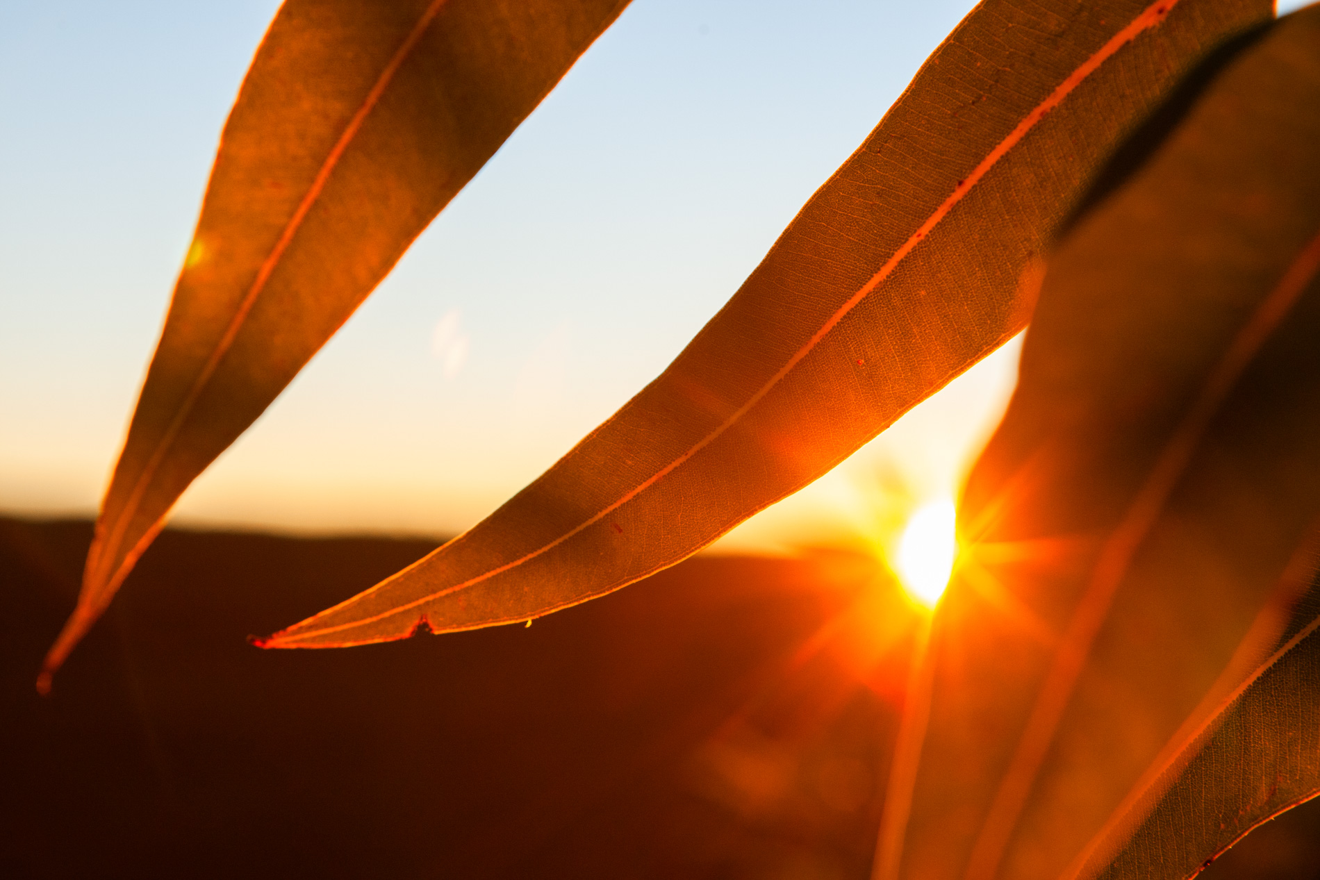 JonathanWoodPhotography-456