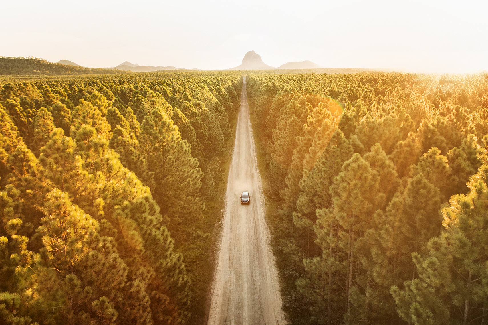 Toyota Kluger driving through forest at sunset 